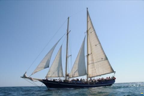 Baltimore Schooner