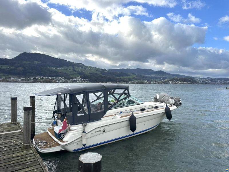 Sea Ray 270 DA
