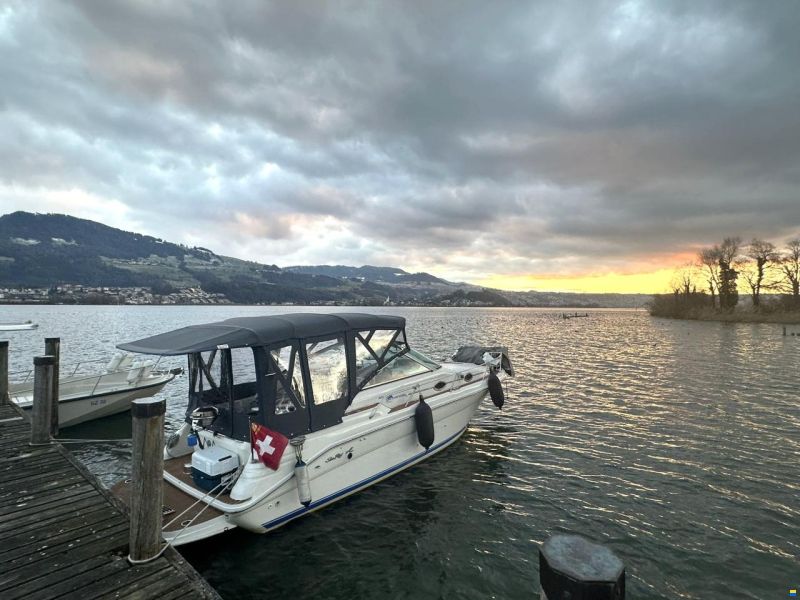 Sea Ray 270 DA