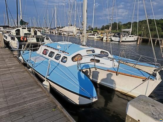 Triune 30