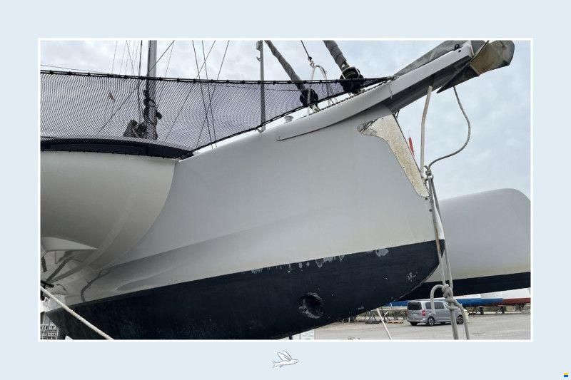 Neel 45 Evolution
