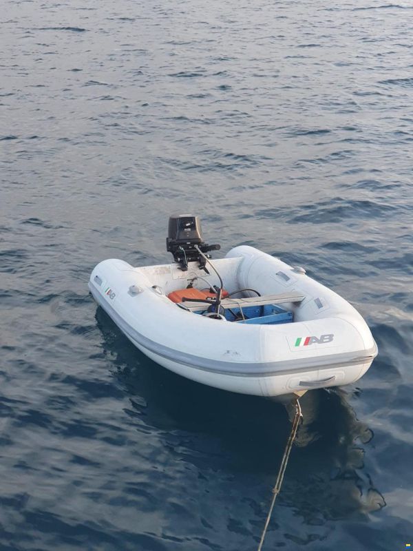 Meta Dalu 43