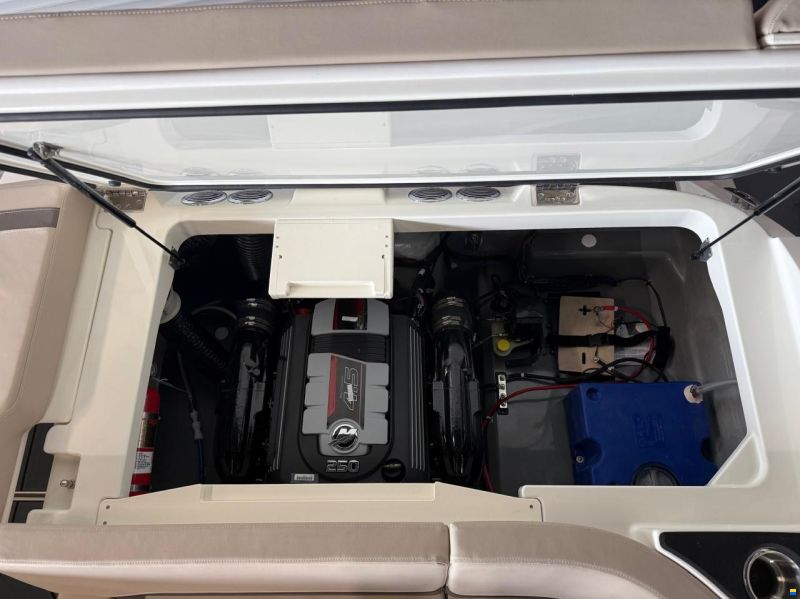 Bayliner V20i