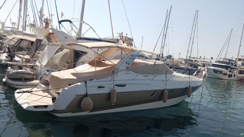 Cranchi Endurance 41