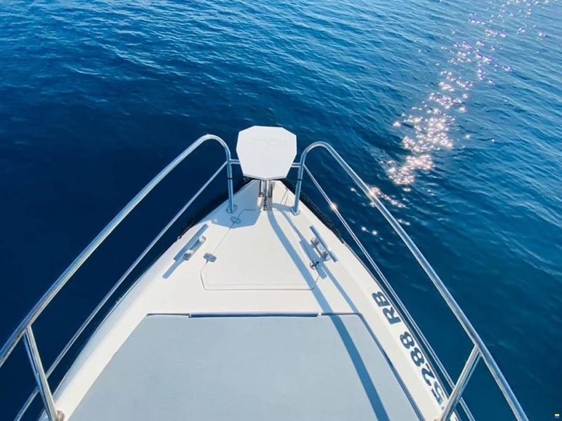 Trimarchi Dylet 85 + Honda BF250