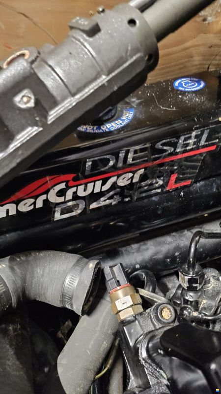 MerCruiser D 4.2 L