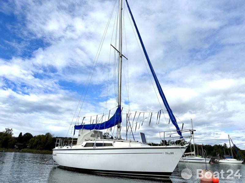 Cobra Yachts UK Cobra 850