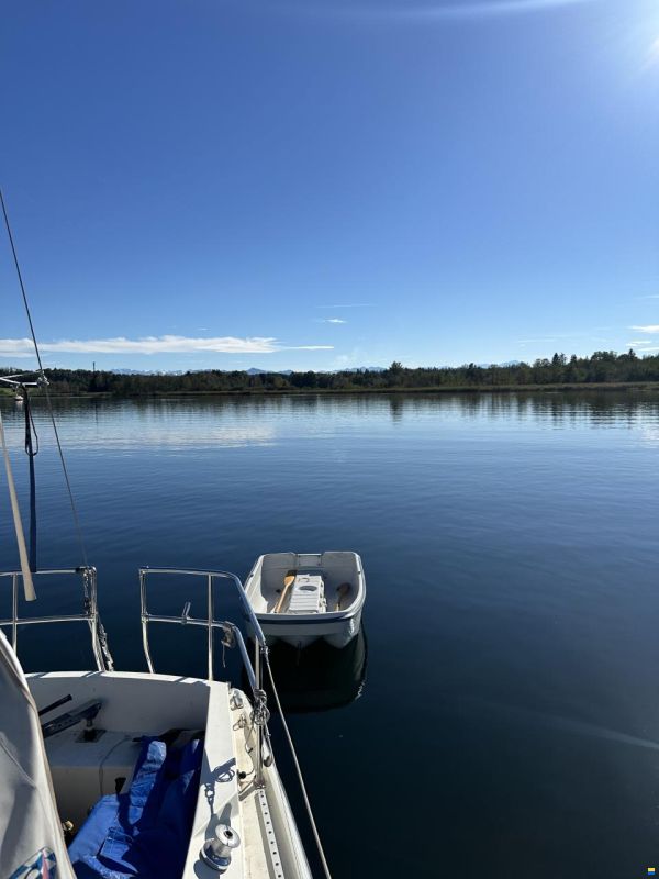 Cobra Yachts UK Cobra 850