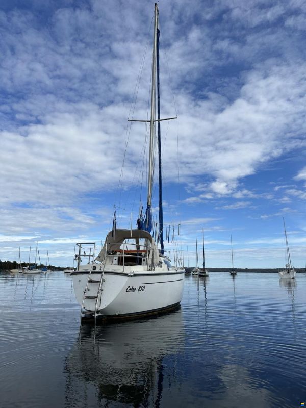 Cobra Yachts UK Cobra 850