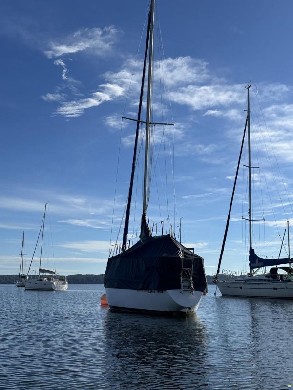 Cobra Yachts UK Cobra 850