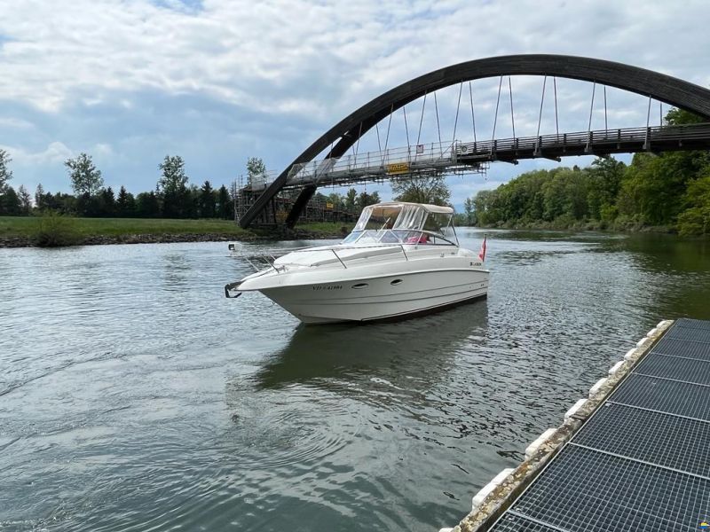 Larson Cabrio 254