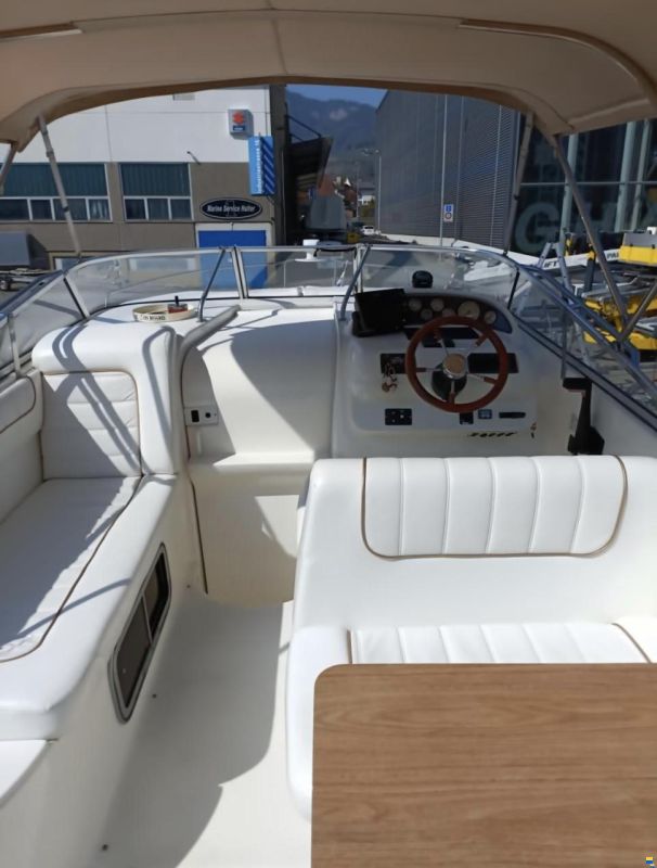Larson Cabrio 254