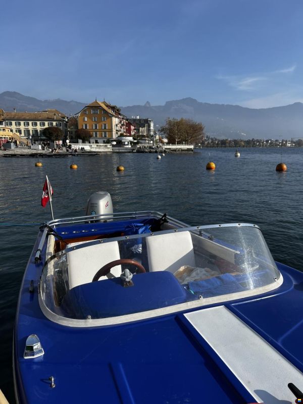 Schweizer Bateaux Magnifique petit canot moteur