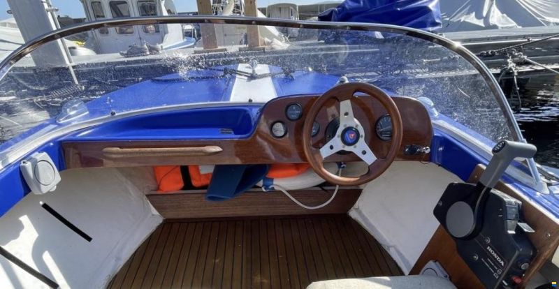 Schweizer Bateaux Magnifique petit canot moteur