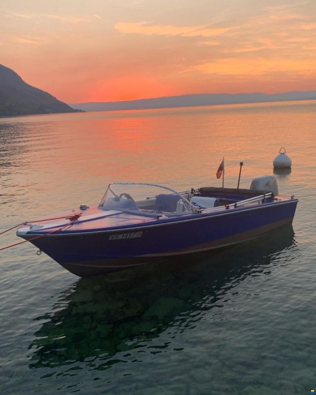 Schweizer Bateaux Magnifique petit canot moteur