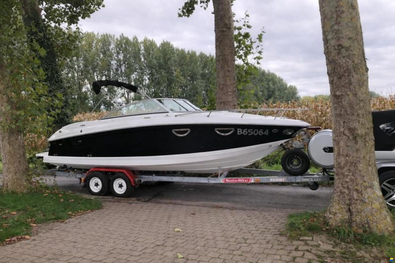 Cobalt 243