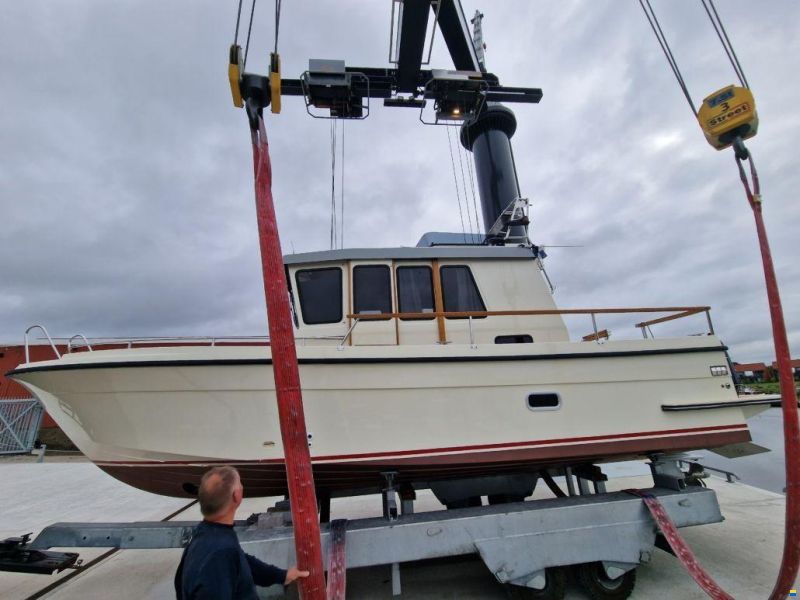 Targa 29