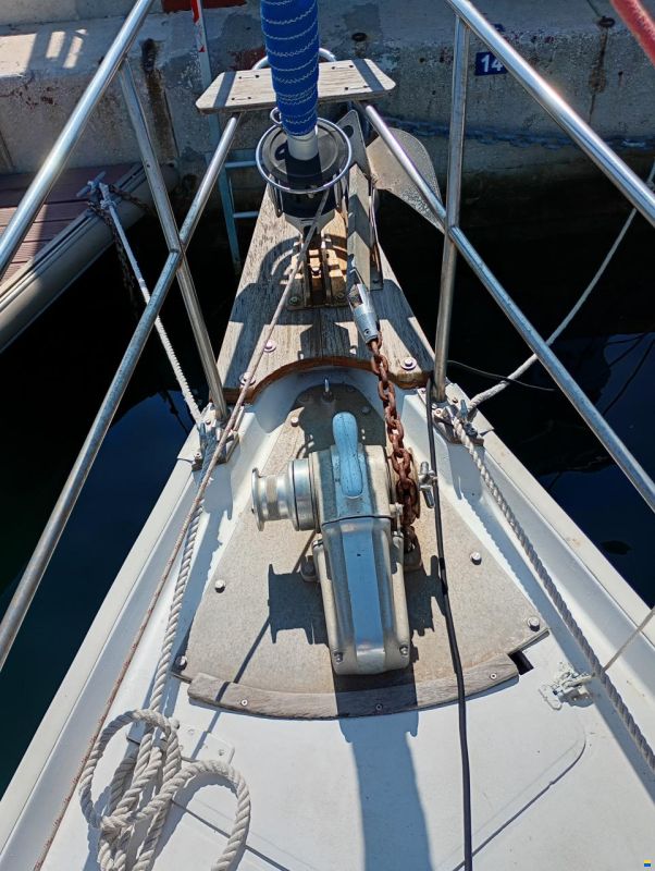 Raider 35