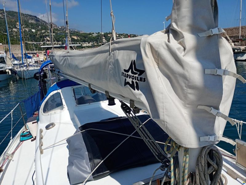 Raider 35