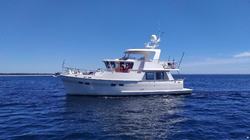 Selene 45