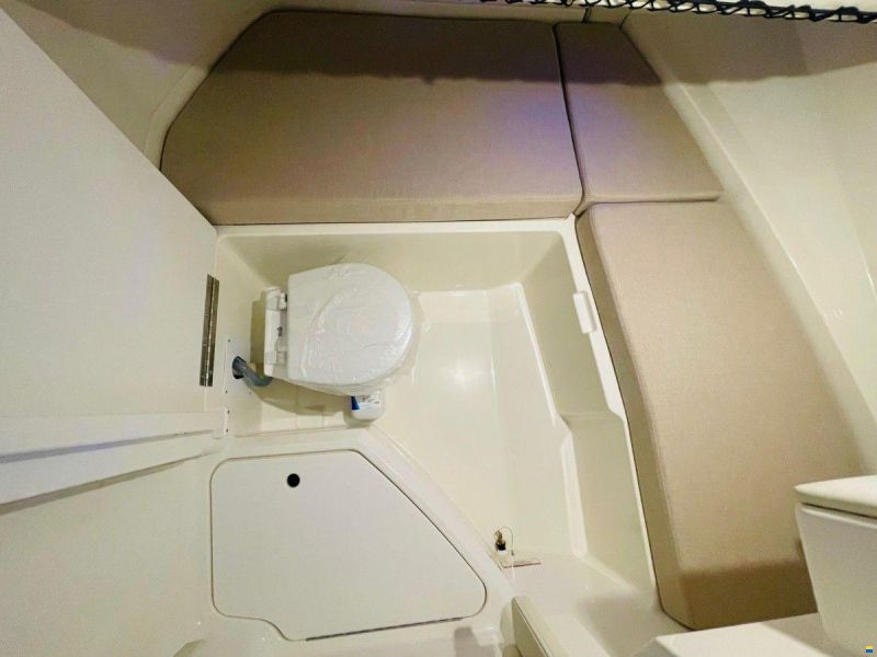 Sea Ray 250 SDX