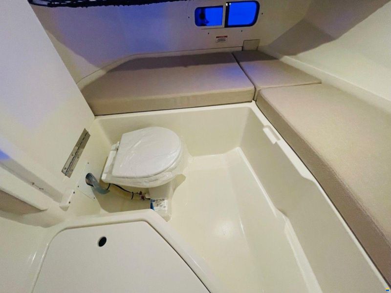 Sea Ray 250 SDX