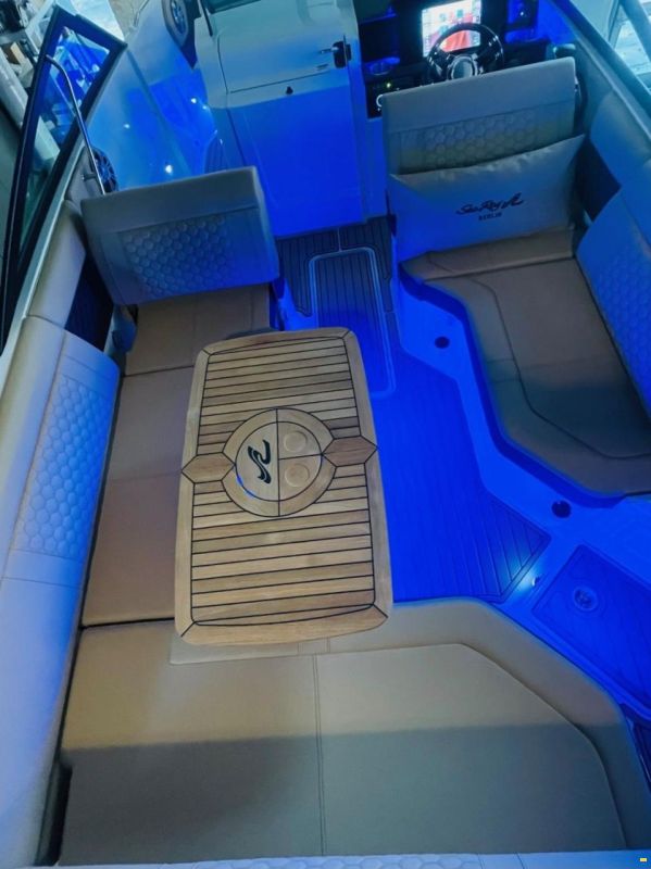 Sea Ray 250 SDX