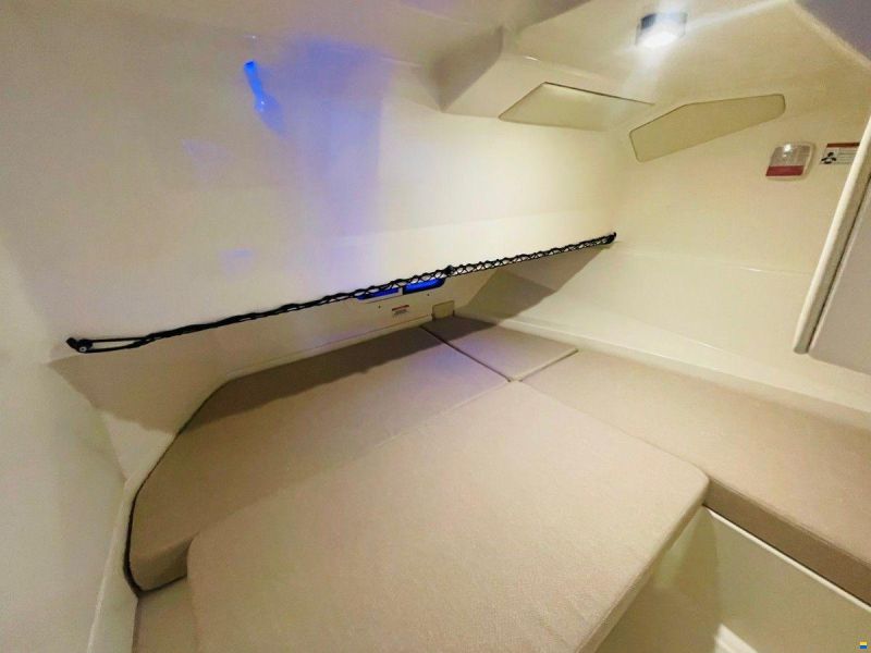 Sea Ray 250 SDX
