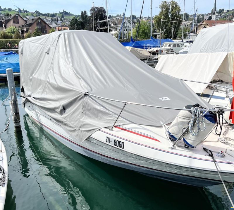 Bayliner Ciera Sunbridge 26