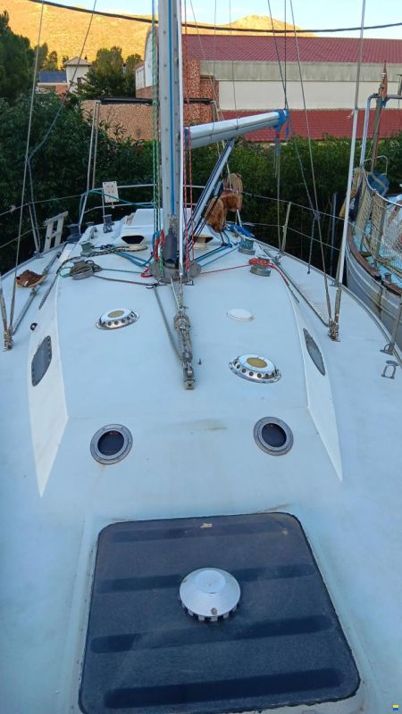 Contessa 34 ood