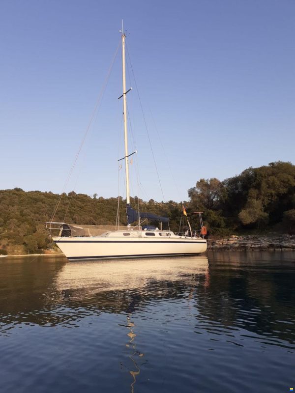 Contessa OOD 34