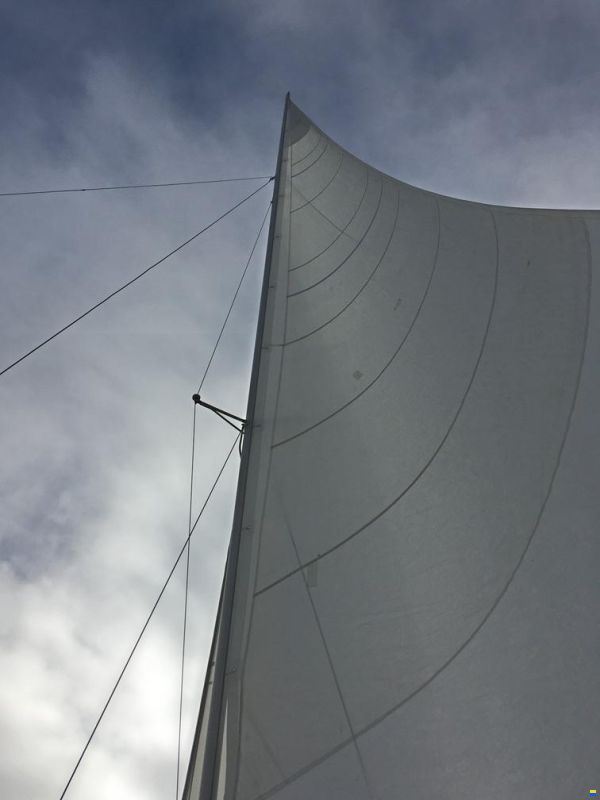 Amateur Con Basetta 28