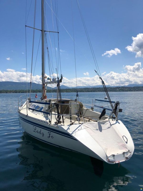 Elan 33