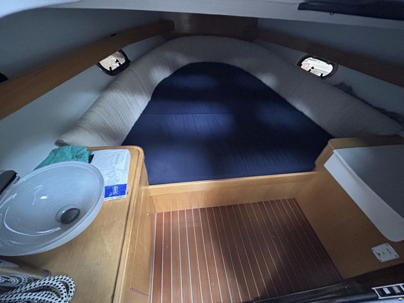 Tullio Abbate T Sunshine