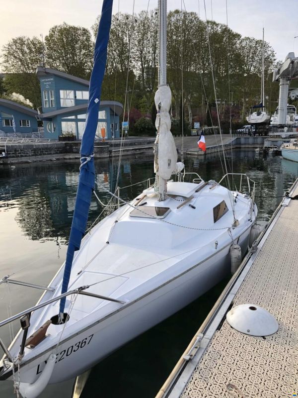 CORMORANT, GAUBERT challenger scoup 661