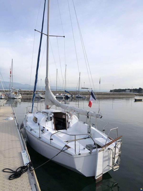 CORMORANT, GAUBERT challenger scoup 661