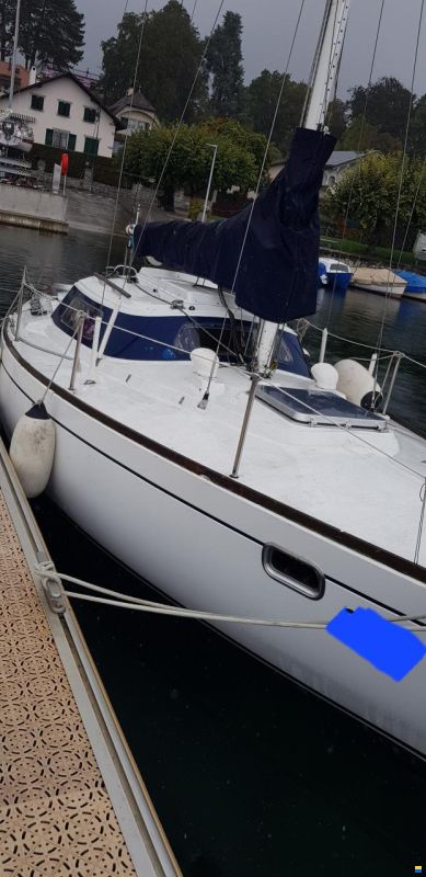 Mallard Ecume de mer 75 (Mallard)