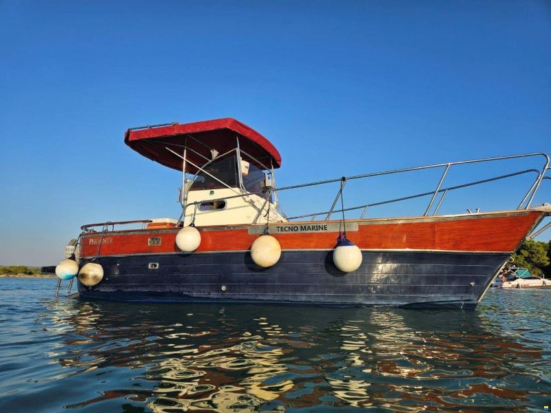 Tecnomarine Phoenix 24