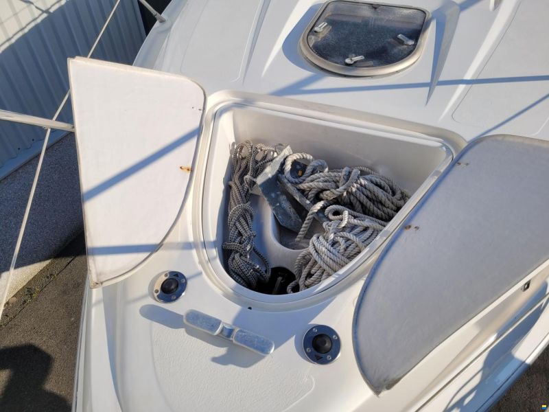 Sealine S34