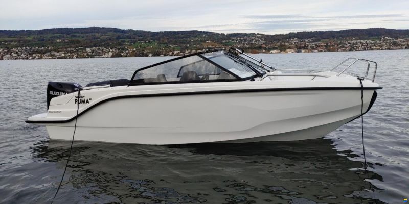 Silver Puma BR