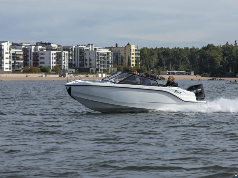 Silver Puma BR