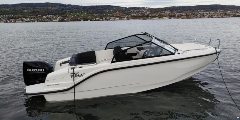 Silver Puma BR