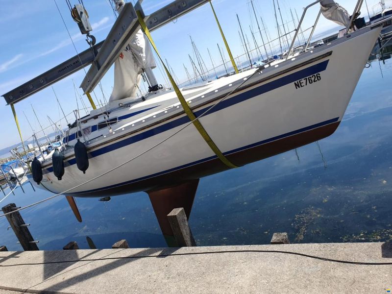 Hanse 291