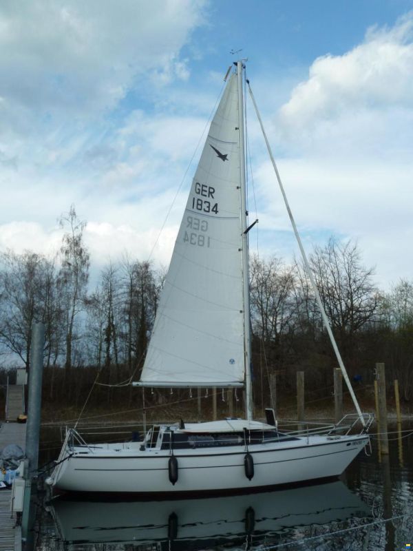 Comar Comentino 850