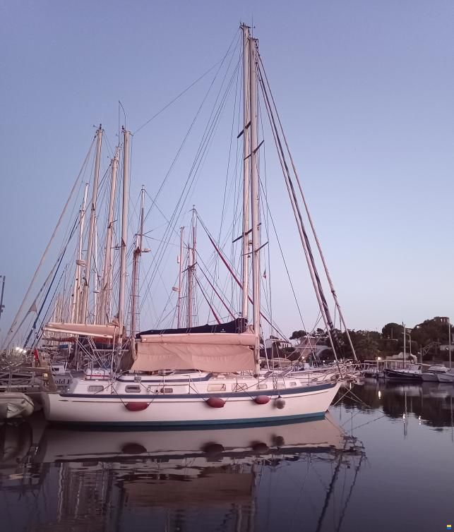 Hallberg-Rassy HR41