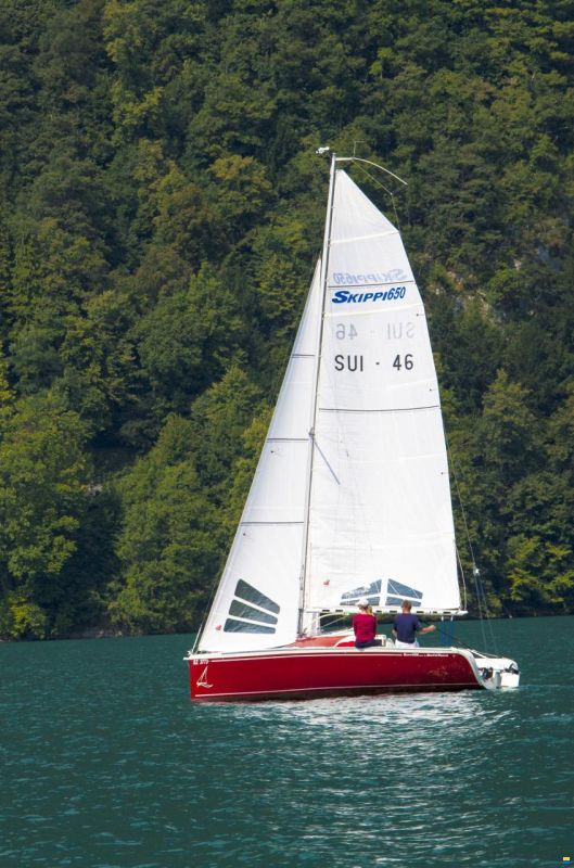 Skippi Yachts  Skippi 650 Race