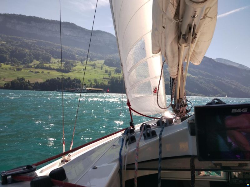 Skippi Yachts  Skippi 650 Race