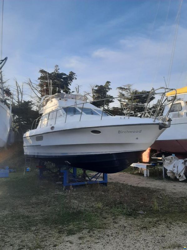 Birchwood TS 340