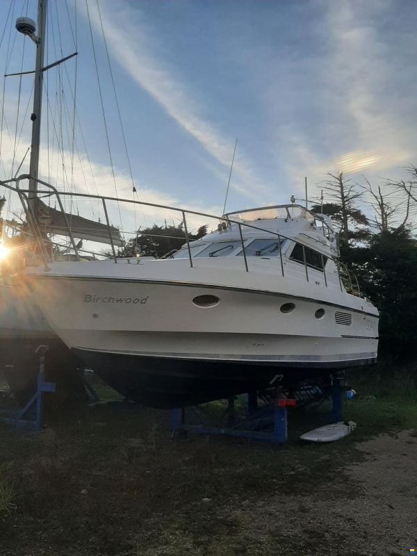 Birchwood TS 340