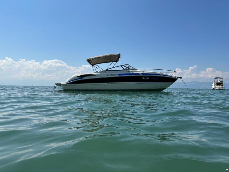 Stingray 250 CR